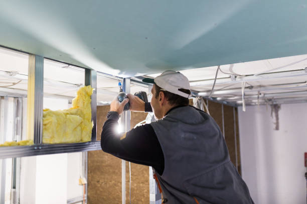Best Eco-Friendly Insulation in Country Club Hills, MO