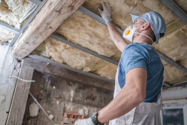 Types of Insulation We Offer in Country Club Hills, MO